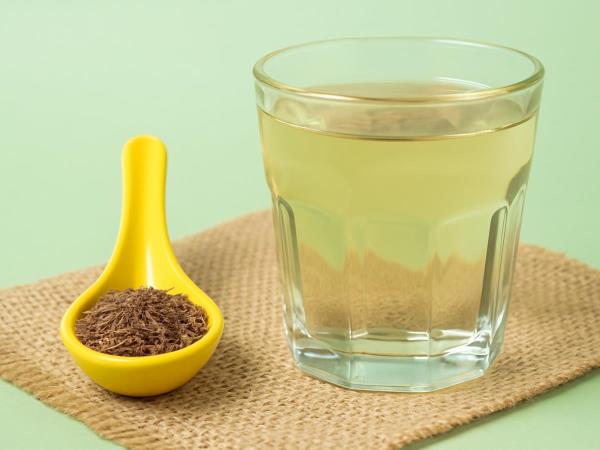 Ein Teelöffel Kreuzkümmel im Glas Wasser: das Geheimnis, das der Ayurveda seit Jahrtausenden kennt